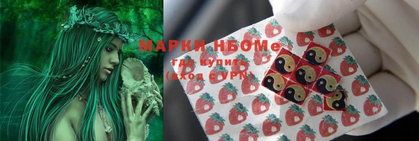 амф Каменногорск