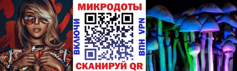 Галлюциногенные грибы прущие грибы  дарнет шоп  Новосокольники 